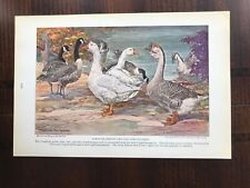 1930 vintage original for sale  Norman