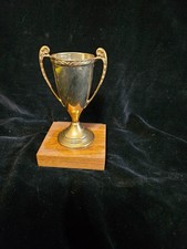 Trophy aaca san for sale  Warner Robins