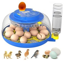 automatic incubator for sale automatic incubator for sale Colton