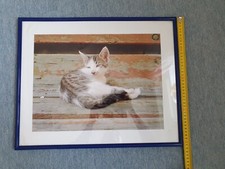 Bilderrahmen fotorahmen galeri gebraucht kaufen Bilderrahmen fotorahmen galeri gebraucht kaufen  Filderstadt