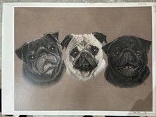 Trio pug print for sale Trio pug print for sale  BIRMINGHAM