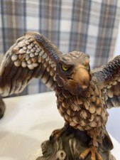 Faro sea eagle for sale  ANSTRUTHER
