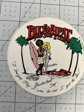 Vintage 1980s surf for sale  Beach Haven
