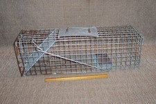 Medium sized live for sale  Goshen