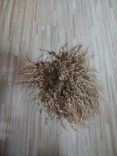cindy marzahn gebraucht kaufen cindy marzahn gebraucht kaufen  Oberaurach