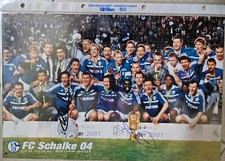 Schalke dfb pokalsieger gebraucht kaufen  Krummhörn