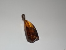 Genuine amber pendant for sale  North Royalton