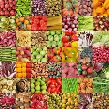 Heirloom vegetable 150 for sale  Fernley