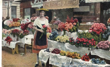 Cpa cote azur d'occasion Cpa cote azur d'occasion  Saint-Amans-Soult