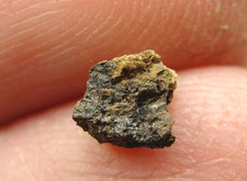 Nwa 13334 achondrite for sale  Hebron