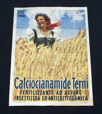 Calciocianamide terni manifest usato Calciocianamide terni manifest usato  Torino