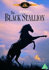 Black stallion dvd for sale  ROSSENDALE