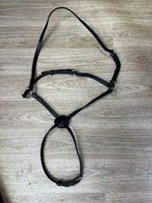 Black cob grackle for sale  WESTON-SUPER-MARE