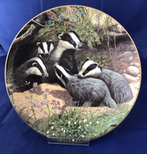 Plate royal doulton for sale  CHEPSTOW