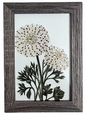Hydrangeas wall hanging for sale  Cary