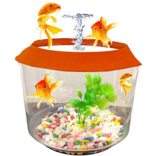 Goldfish small fish for sale  HAYES