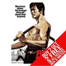 Fist fury bb1 for sale  MANCHESTER