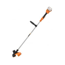 Worx tagliabordi batteria usato  Roccagloriosa