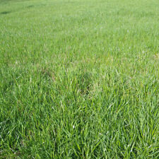 Marshall pasture forage for sale  Odessa
