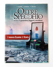 Oltre specchio storie usato  Santa Maria a Vico