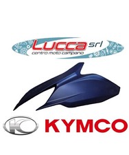 00164769cvp scudo ant. usato  Qualiano