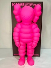 Kaws what party usato Kaws what party usato  Pian di Sco