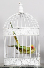 Bird cage white for sale  MORPETH