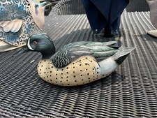 Blue wing teal for sale  Milford