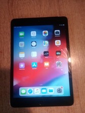 Apple ipad mini usato  Alta Valle Intelvi