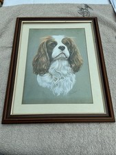 King charles spaniel for sale  GLOSSOP