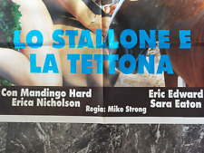 Stallone tettona mandingo usato  Venezia