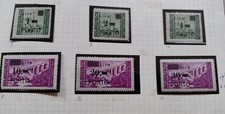 1946 litorale sloveno usato  Cosenza