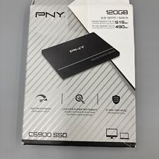 Pny cs900 series usato  Sesto Calende
