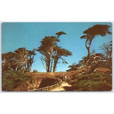 Postcard sylvan footpath for sale  USA
