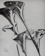 Vtg man ray for sale  Woodstock