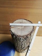 Holz nussbaum groß gebraucht kaufen  Gröditz
