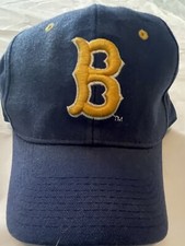 Ucla bruins hat for sale  Graceville