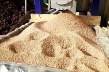 Nocciolino sansa vergine usato  Italia