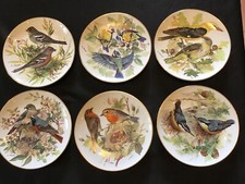 Ursula bands songbirds for sale  KEIGHLEY