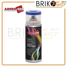 Vernice smalto spray usato  Brancaleone