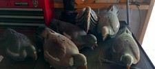 Approx made italy for sale  LINCOLN