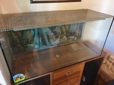 Terrarium abmessungen 100x40x5 gebraucht kaufen  Geroldsgrün