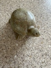 onyx turtle for sale onyx turtle for sale BEDFORD