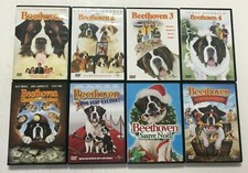 Beethoven dvd intégrale d'occasion  Oloron-Sainte-Marie