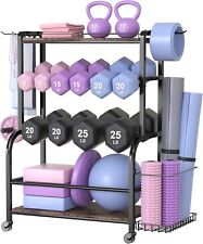 Dumbbell rack weight for sale  Robbinsville