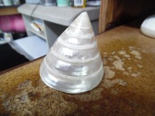 Polished white trochus for sale  West Mifflin