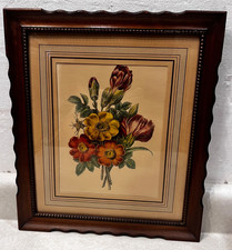 Vintage botanical print for sale  Munster