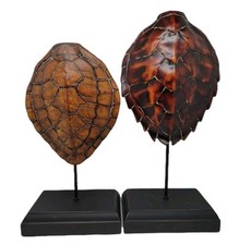 Faux turtle shells for sale  Roswell