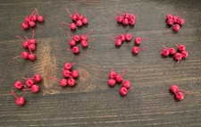Red cherries original for sale  Saint Peters