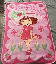 Strawberry shortcake toddler for sale  Chico